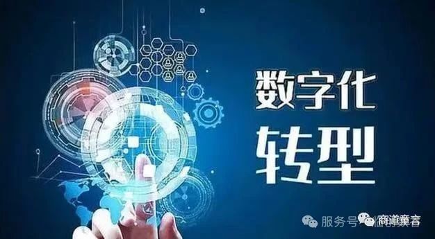 企业数字化转型：把握政策春风，迈向高质量发展1